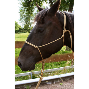 Horse-Man-Knotenhalfter (Mini, Pony, Araber)