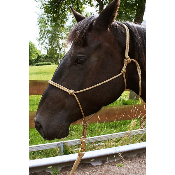 Horse-Man-Knotenhalfter (Mini, Pony, Araber)